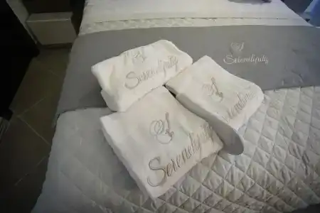 Serendipity B&B - 48