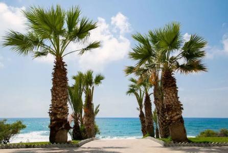 Louis Paphos Breeze - 33