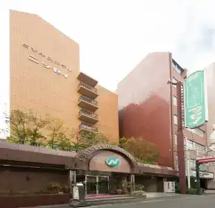 Business Nissei - 0
