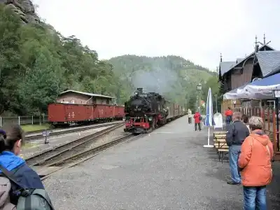 Schwarzer Bär - 6