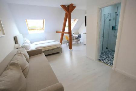 Zollikof Aparts - Sauna & Studio - 78