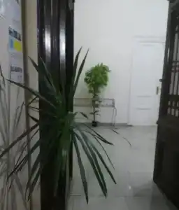 Safary Hostel - 13