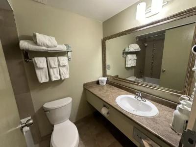 Days Inn by Wyndham Conference Centre - 30