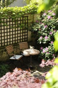 Boutique Splendid-Dollmann - 25