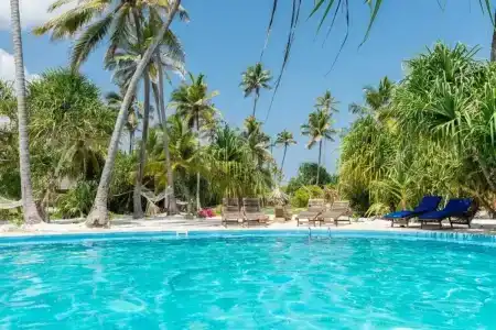 Zanzibar Queen - 9