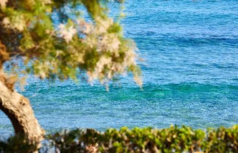 Alexander Beach & Village Resort - 116