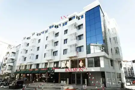 Anemon - 0