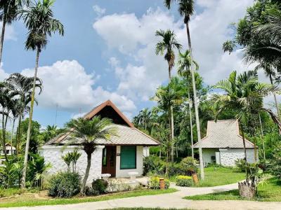 Bura Lumpai - 48