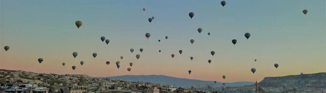 Balloon View - 44