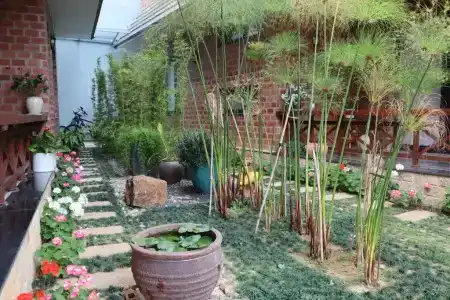 Hoang Loc Villa - 49