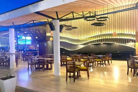 Giraffe Ocean View - 10