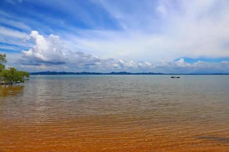 Amber Sands Beach Resort - 39