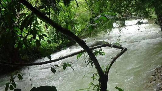 Tree Tops River Huts - 27