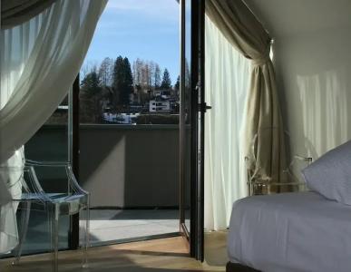 Orso Grigio - 46