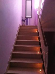 B&B Palese - 9