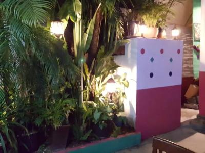 The Little Garden Boutique - 3
