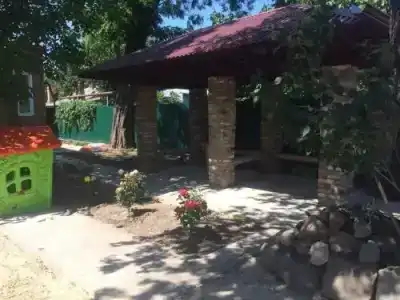 Розы - 1