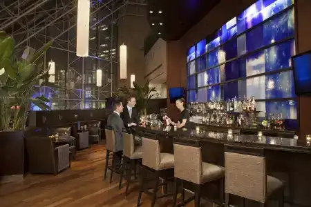 Intercontinental Centre, An Ihg - 47