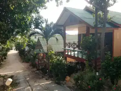 Modern Resort - 57