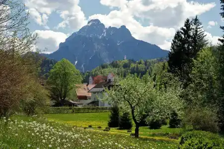Villa Toscana - 24
