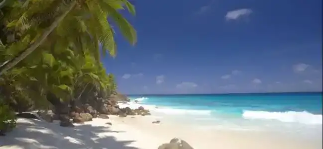 Fregate Island Private - 7