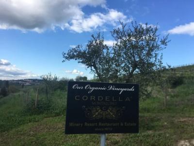 Cordella In Montalcino Wine Resort - 16