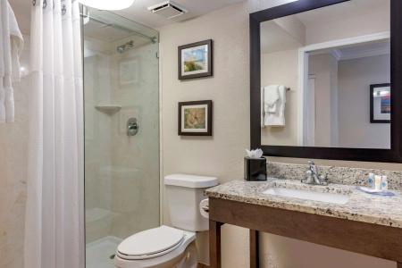 Comfort Inn & Suites Daytona Beach Oceanfront - 8