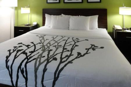 Sleep Inn - 36