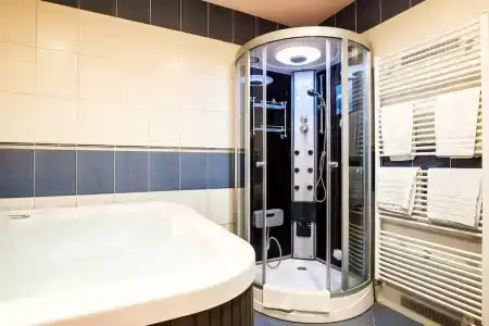 Comfort with free Wellness and Fitness Centrum - 9