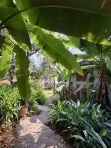 Ancarine Beach Resort - 127