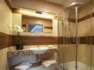 Zakopane Wellness & Spa Ex Korona Tatr - 8