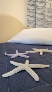 Adigrat Riccione - 108