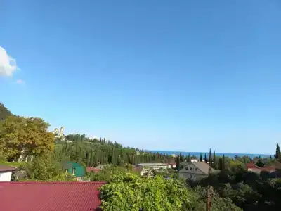 Инжир - 11