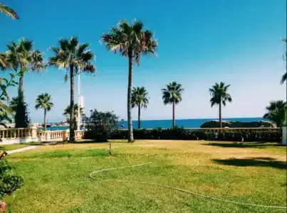 Delphin Resort Monastir - 34