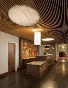 Hilton Garden Inn Long Island City - 1