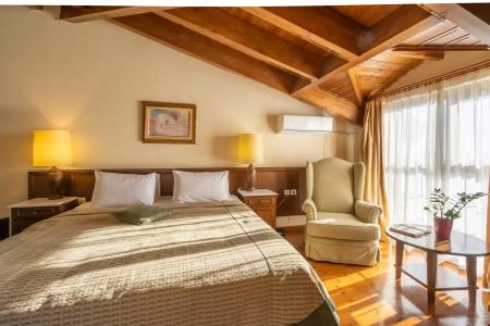 Domotel Anemolia Mountain Resort - 89