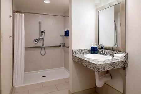 Four Points by Sheraton & Conference Center - 43