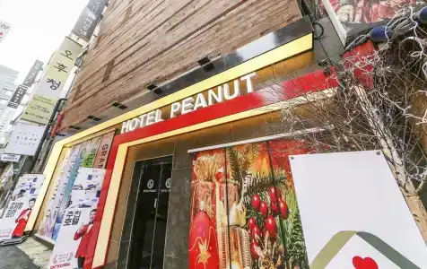 Peanut - 10
