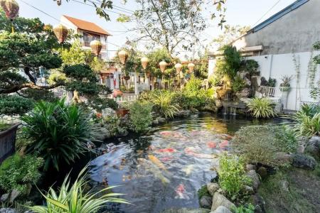 Riverside Impression - 43