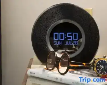 Le Tsuba - 81
