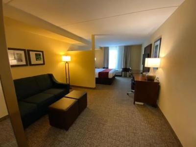 Comfort Suites North - 86