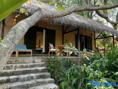Mango Bay Resort - 41