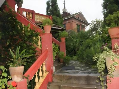 View Point - 19