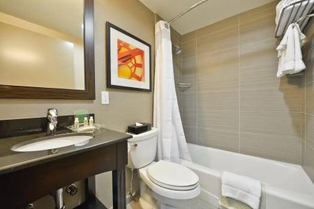 Holiday Inn Lower East Side, An Ihg - 8
