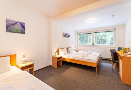 Hotel&wellness Knižecí rybník - 31