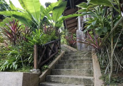 Fig Tree Hills (花果山度假村) - 7