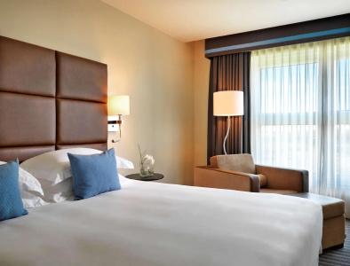 Hyatt Regency Paris - Charles De Gaulle - 30