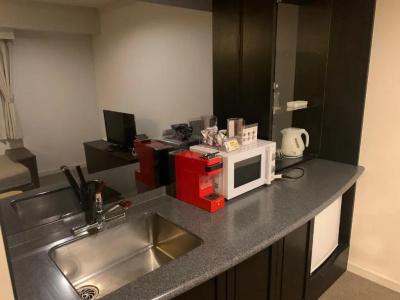 Royal Stay Sapporo - 51