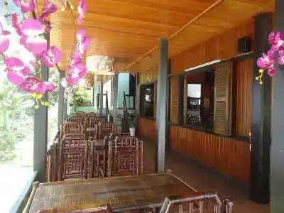 Cat Ba Green - 1