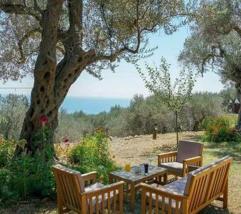 Holiday Park Olive Tree - 14